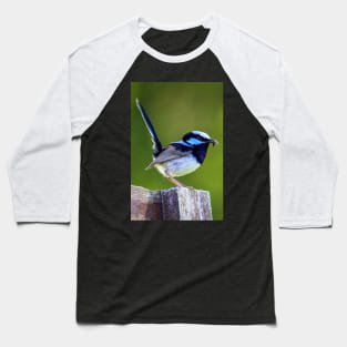 Australian Superb Fairy-Wren Baseball T-Shirt